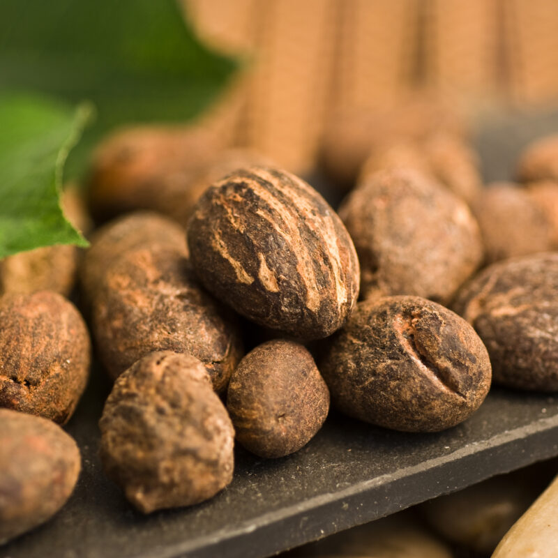 Shea butter nuts skincare ingredients