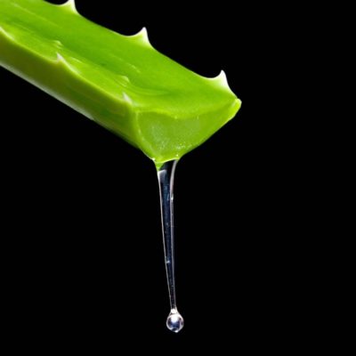 Aloe vera skincare ingredient