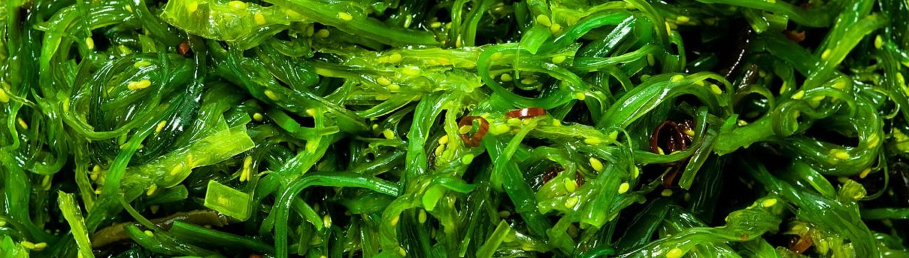 Edible seaweed skincare ingredient