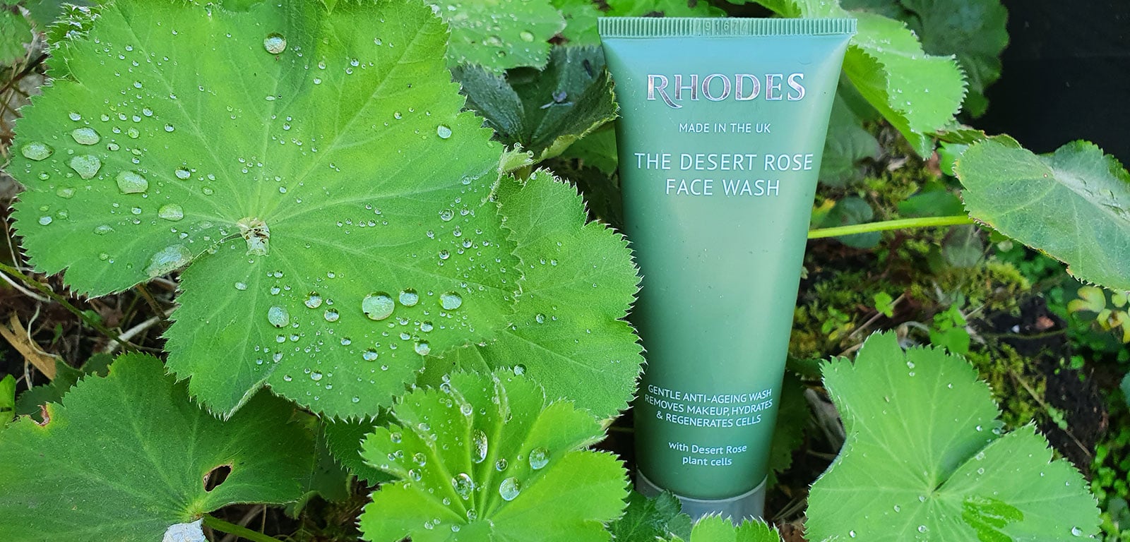 Rhodes Skincare 2