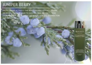 Juniper Berry - Rhodes Skincare