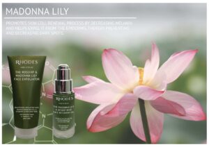Madonna Lily - Rhodes Skincare