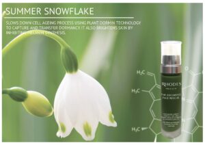 Summer Snowflake - Rhodes Skincare